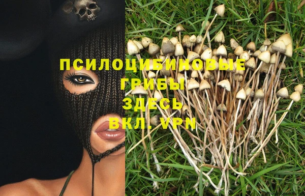 ECSTASY Красноперекопск