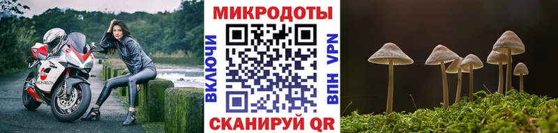 Купить  Саратов  Псилоцибиновые грибы GOLDEN TEACHER 
